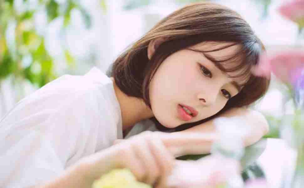 黑帽seo站群工具