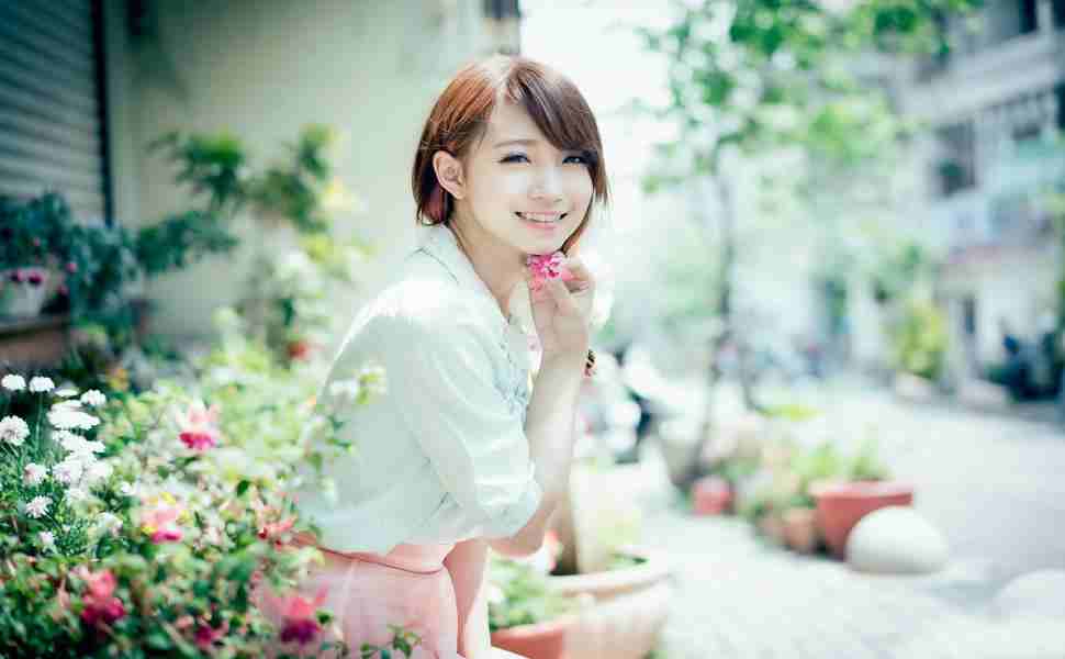 枫叶站群蜘蛛池